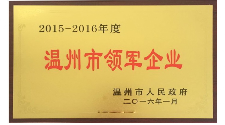 2015-2016年溫州市領(lǐng)軍企業(yè)